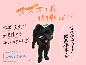 スズキの日まだまだ続きます！！！